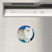 Fluffy Cat Magneet (Insitu (Vaatwasser))