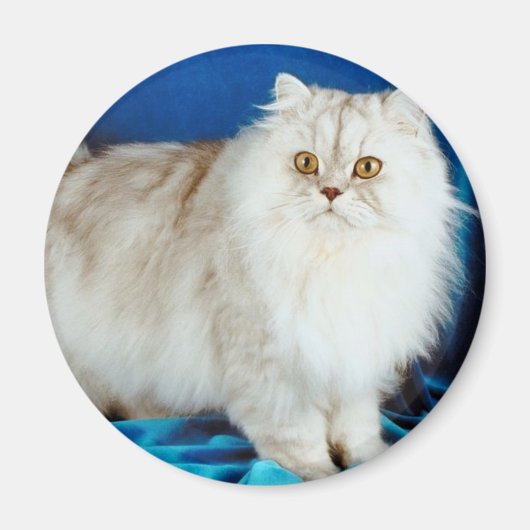 Fluffy Cat Magneet (Voorkant)