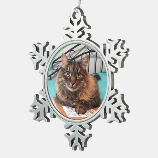 Fluffy Cat Ornament (Rechts)