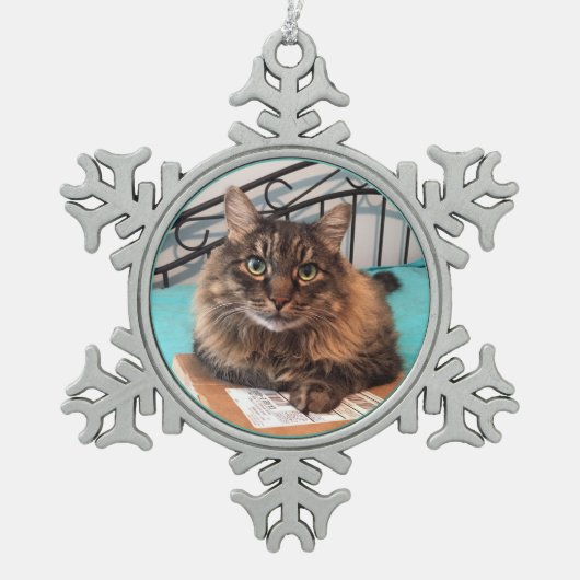 Fluffy Cat Ornament (Voorkant)