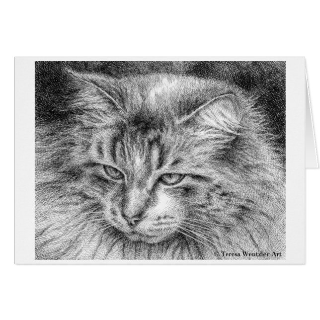 Fluffy Cat Portret Pen en inkttrekkaart (Voorkant Horizontaal)