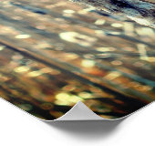 Fluffy Cattails in de Natuur van de lente Poster (Hoek)