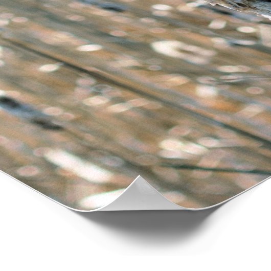 Fluffy Cattails in de Natuur van de lente Poster (Hoek)