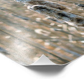 Fluffy Cattails in het voorjaar Natuur 8x8 Foto Afdruk (Hoek)