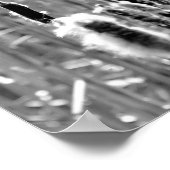 Fluffy Cattails zwart en wit Poster (Hoek)