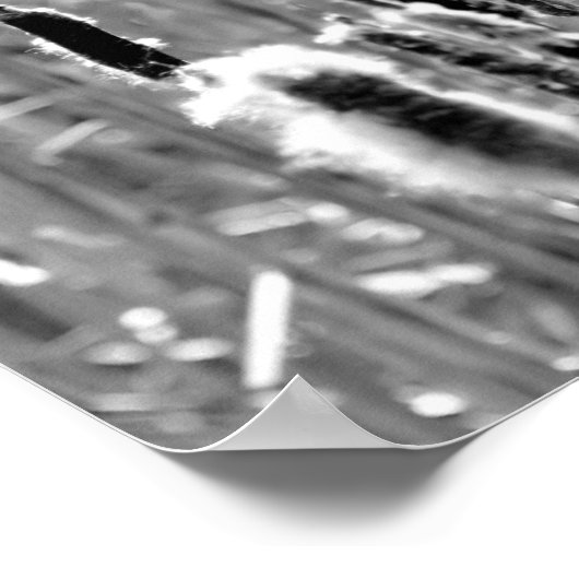 Fluffy Cattails zwart en wit Poster (Hoek)