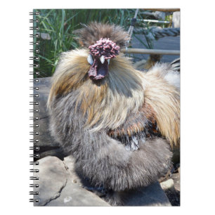 Fluffy Charm Imperfection: een unieke zijdeachtige Notitieboek