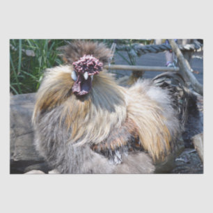 Fluffy Charm Imperfection: een unieke zijdeachtige Tissuepapier