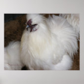 Fluffy Chicken 2 Poster (Voorkant)