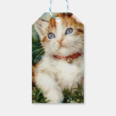 Fluffy christmas cat Watercolor Cadeaulabel (Achterkant)