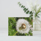 Fluffy dandelion MS JOH 2011 Briefkaart (Staand voorkant)