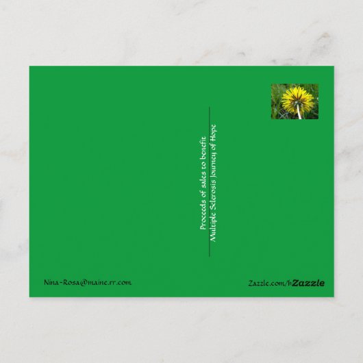 Fluffy dandelion MS JOH 2011 Briefkaart (Achterkant)