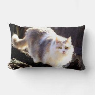 Fluffy Dilute Calico Maine Coon Cat Kussen
