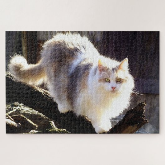 Fluffy Dilute Calico Maine Coon Cat Legpuzzel (Horizontaal)