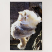 Fluffy Dilute Calico Maine Coon Cat Legpuzzel (Verticaal)