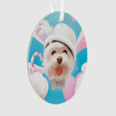 Fluffy Dog met Wit Pet Ornament (voorkant)