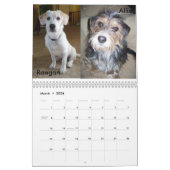 Fluffy Dog Rescue Kalender (Mar 2026)
