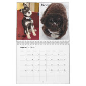 Fluffy Dog Rescue Kalender (Feb 2026)