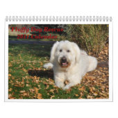 Fluffy Dog Rescue Kalender (Hoes)