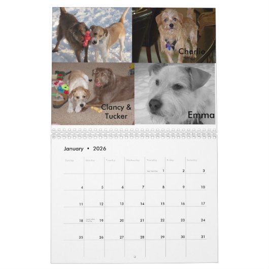 Fluffy Dog Rescue Kalender (Jan 2026)