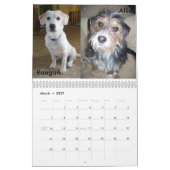 Fluffy Dog Rescue Kalender (Mar 2027)