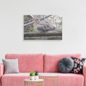 Fluffy Dove Natuur Canvas Afdruk (Insitu (Woonkamer))
