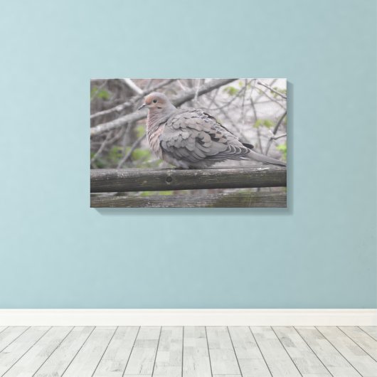 Fluffy Dove Natuur Canvas Afdruk (Insitu (Houten vloer))