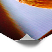 Fluffy Dove Poster (Hoek)