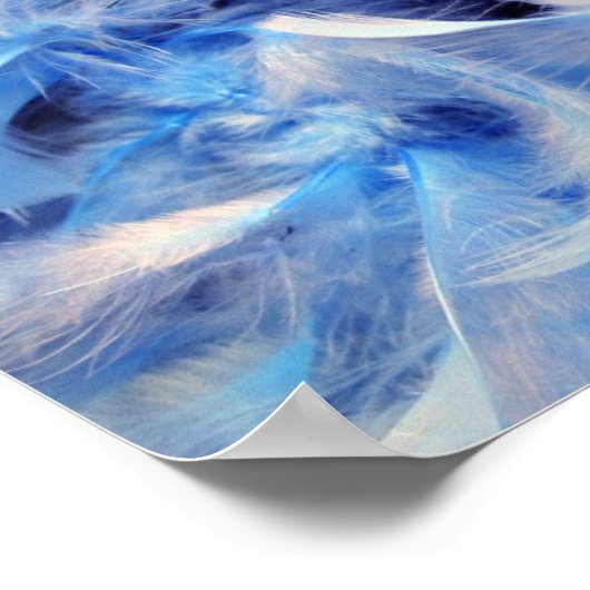 Fluffy Feathers Poster (Hoek)