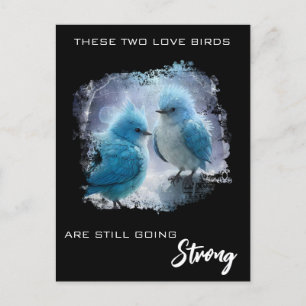*~* Fluffy FOTO Liefdes Vogels AP54 Verjaardag Briefkaart