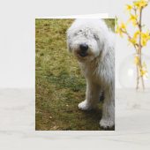 Fluffy Frizzy Bad Hair Day Dog Kaart (Gele Bloem)