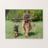 Fluffy German Shepherd Dog and Puppy Legpuzzel (Horizontaal)