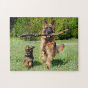 Fluffy German Shepherd Dog and Puppy Legpuzzel