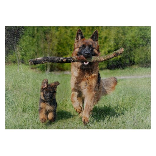 Fluffy German Shepherd Dog and Puppy Snijplank (Voorkant)