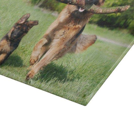 Fluffy German Shepherd Dog and Puppy Snijplank (Hoek)