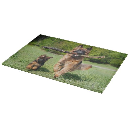 Fluffy German Shepherd Dog and Puppy Snijplank (Hoek)