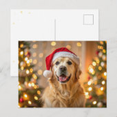 Fluffy golden retriever met een rode kerstmuts feestdagenkaart (Voorkant / Achterkant)
