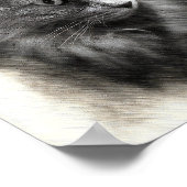 Fluffy Gray Cat Sketch - Soft Feline Portrait Art  Poster (Hoek)