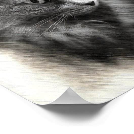 Fluffy Gray Cat Sketch - Soft Feline Portrait Art  Poster (Hoek)