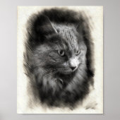 Fluffy Gray Cat Sketch - Soft Feline Portrait Art  Poster (Voorkant)