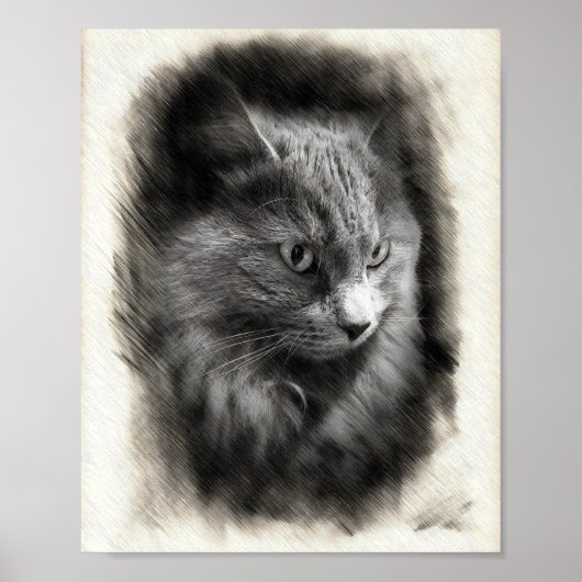 Fluffy Gray Cat Sketch - Soft Feline Portrait Art  Poster (Voorkant)