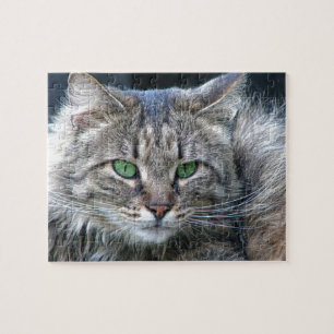 Fluffy Green-Eyed Tiger Kitty Cat Legpuzzel