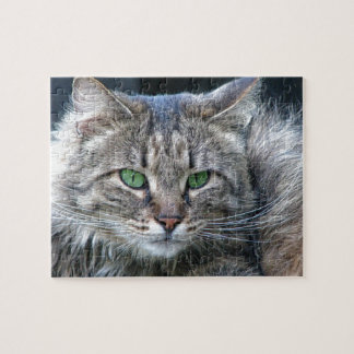 Fluffy Green-Eyed Tiger Kitty Cat Legpuzzel