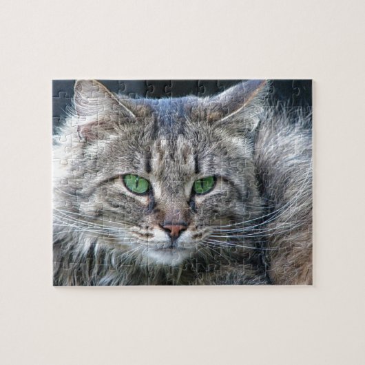 Fluffy Green-Eyed Tiger Kitty Cat Legpuzzel (Horizontaal)