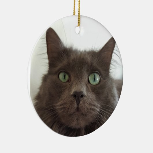 Fluffy Grey cat Keramisch Ornament (Rechts)