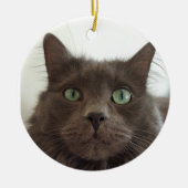 Fluffy Grey cat Keramisch Ornament (Voorkant)