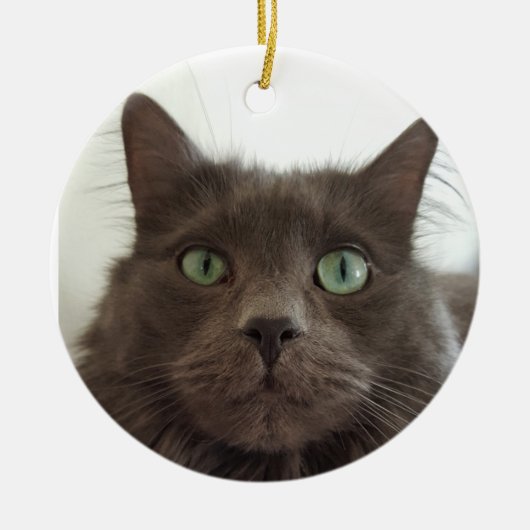 Fluffy Grey cat Keramisch Ornament (Voorkant)