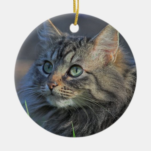 Fluffy Grey Tabby Cat die naar boven kijkt Keramisch Ornament (Voorkant)