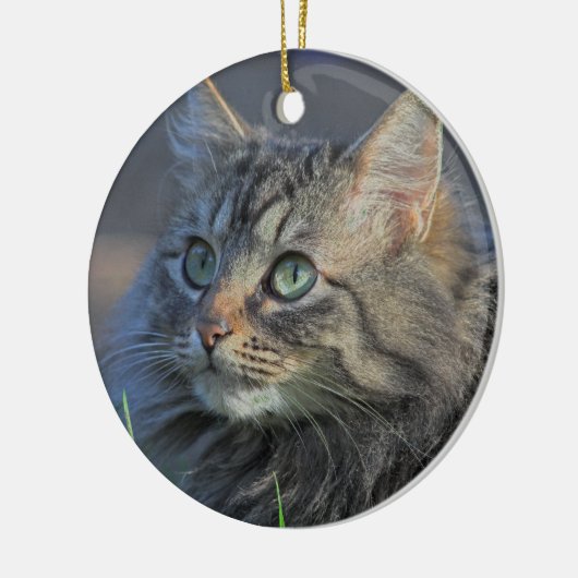 Fluffy Grey Tabby Cat die naar boven kijkt Keramisch Ornament (Links)