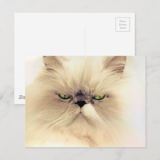 Fluffy Gruffy Kitty Briefkaart (Voorkant / Achterkant)